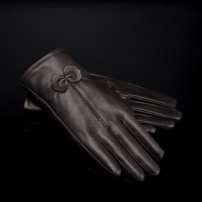 Woman Gloves M