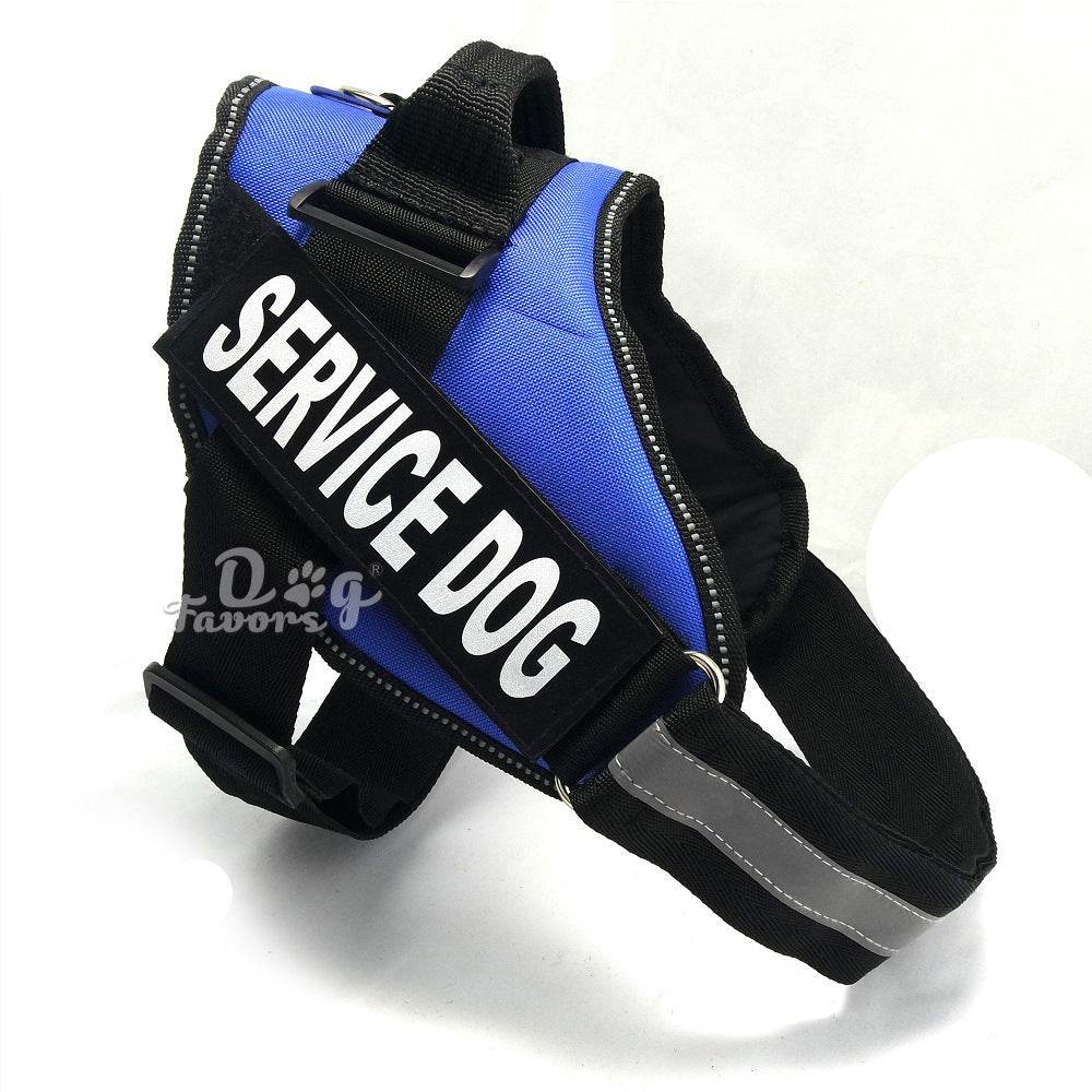 Chest strap BLUE