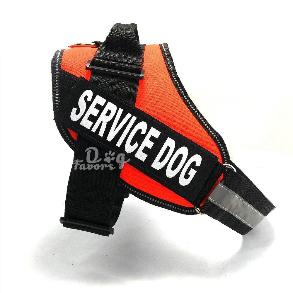 Chest strap ORANGE