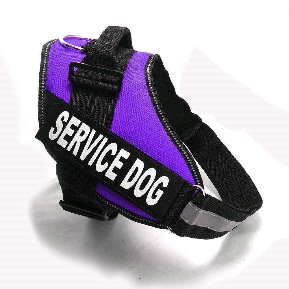 Chest strap PURPLE