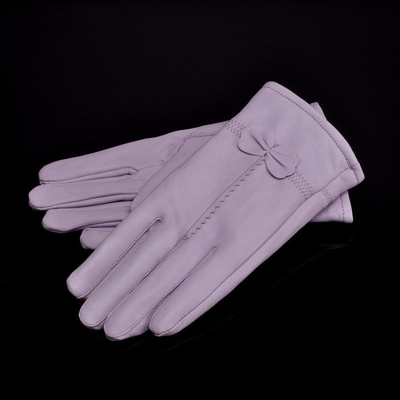 Woman Gloves G
