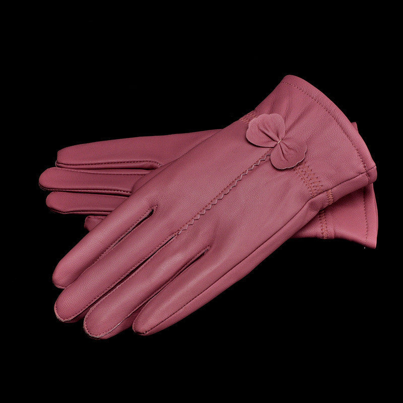 Woman Gloves C