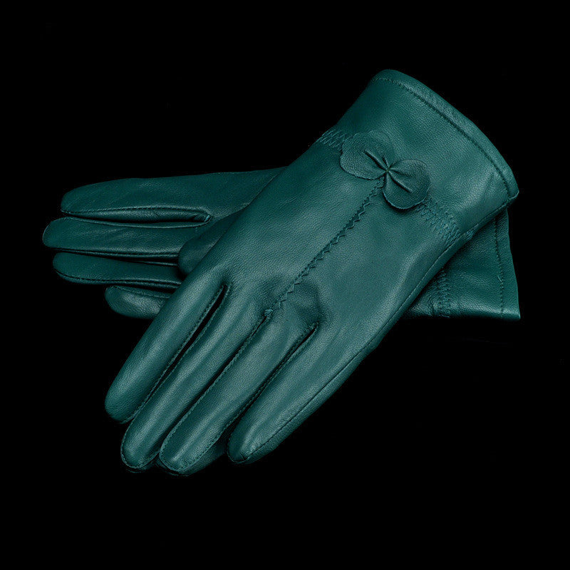 Woman Gloves K
