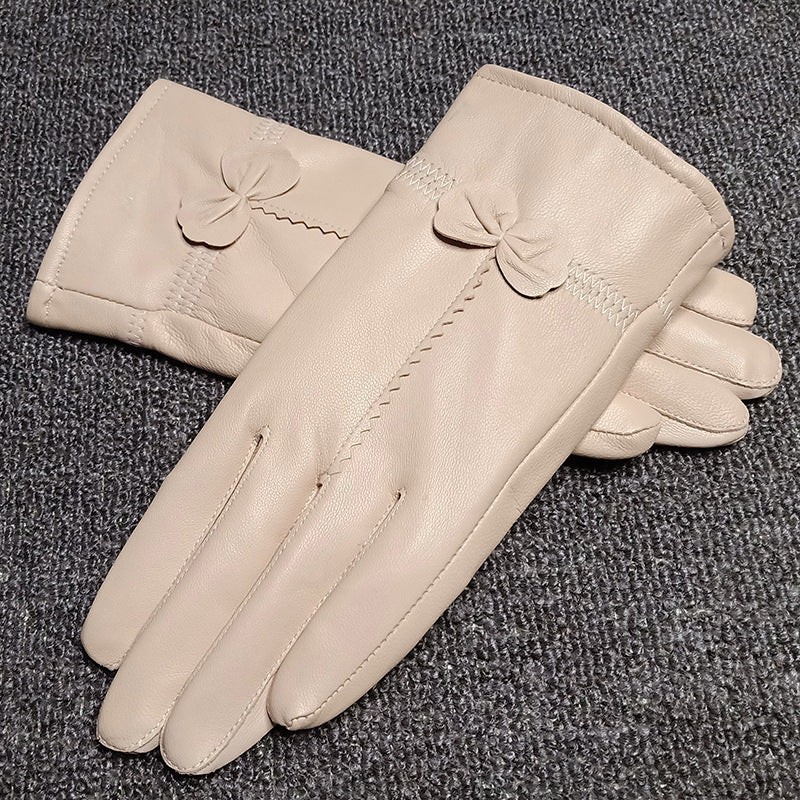 Woman Gloves B